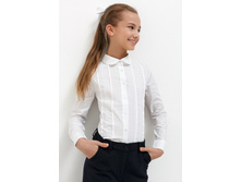 20240260039   Nemesia   �����.jpg