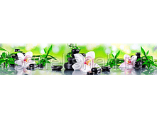 475314404 w284 h200 artskinali 23.png