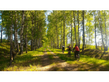 P 20180526 160441-01.jpeg