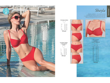 Cat-florange-2018-01 27.jpg