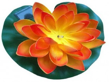 ������ ��-� �� ����.������� KOC SOL952 1LED RGB ��������� ����� 241,00.jpg