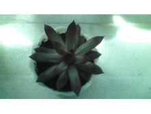 IMG 20141224 191123.jpg