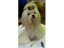 30716358 1770872409625558 6522003775660490752 n.jpg