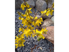 �������� ������. 04.05.2018