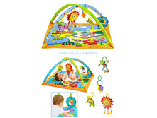 ������ ���� ��� ��������� �����