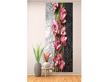 ������� �� ������.jpg