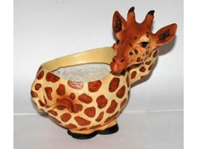 ����� ����� 376,54.jpg