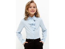 20240260035   Verbena   �������.jpg