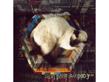 ������� ��� �������� "�������"