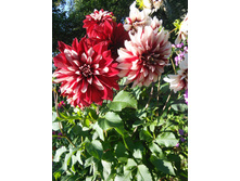 2014-08-23 17-26-01.JPG