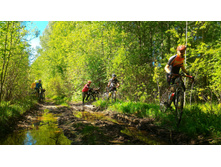 P 20180526 143811-01.jpeg