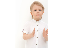 20120290031   Guppy   �����.jpg