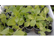 ���������������