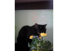 IMG 20180318 093931.jpg