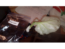 IMG 20180522 205657.jpg