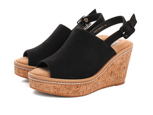 1390 ��� Randa