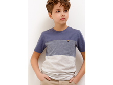 20110110099   Forlan   �����.jpg