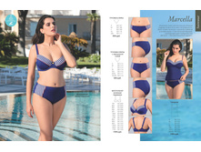 Cat-florange-2018-01 26.jpg