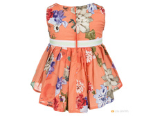 ���. ����