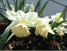 ������� ������ �����.JPG