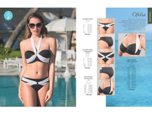 Cat-florange-2018-01 24.jpg