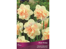 ������� �������� ���� �����.jpg