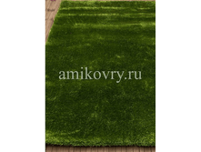 ����� SUNNY H55-GREEN.png