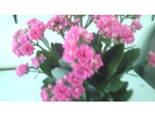 IMG 20141224 190300.jpg