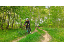 P 20180519 150919-01.jpeg