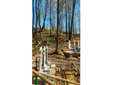 P 20180505 113446-01.jpeg