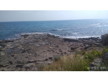 IMG 20180507 155927.jpg