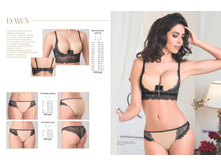 Cat-florange-2018-01 09.jpg