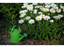 �������.