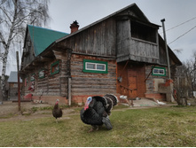 IMG 20180430 111351.jpg