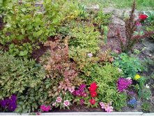 IMG 20180527 155041.jpg