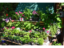 �� ����!