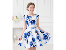 ������ �����, 01007013sin 2.jpg