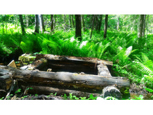 P 20180526 103345-01.jpeg