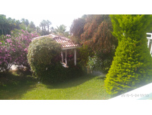 IMG 20180524 090238.jpg