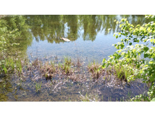 IMG 20180521 131455.jpg