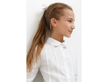 20240260039   Nemesia   �����(������).jpg