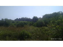 IMG 20180507 152242.jpg