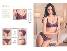 Cat-florange-2018-01 11.jpg