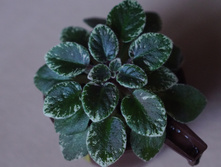 toy castle � ��� ������ �������!