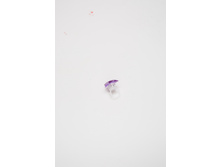 20206240024   Fontaine   �������(������).jpg