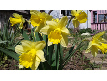 ������� �������� ������ � �������� �������� (�ϣ ����)