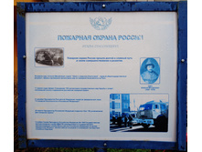 DSC00981.jpg