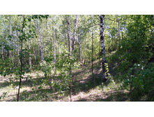 IMG 20180521 133010.jpg