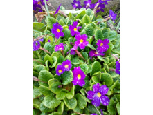 �������.