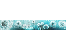 476097196 w284 h200 artskinali 49.png